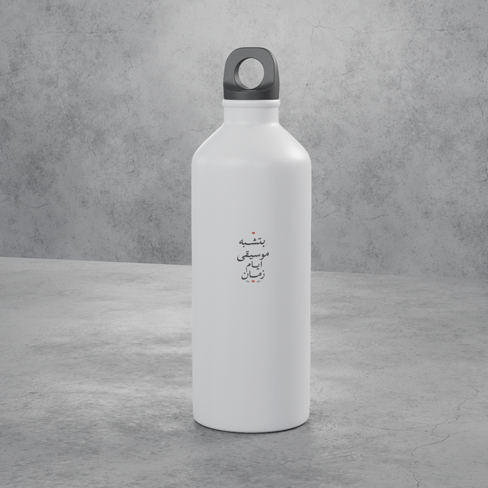 بتشبه موسيقى أيام زمان Stainless Bottle